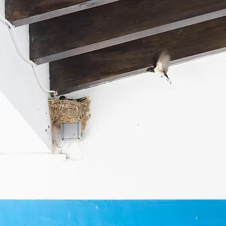 Vila Ocean Whisper Aljezur